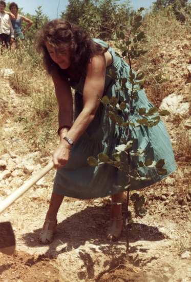 Betty plants her tree for the Guicherds, Avenue of the Righteous, Yad Vashem
